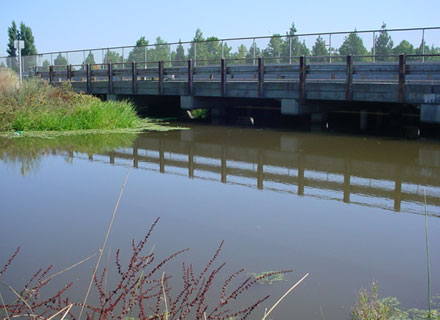West Stockton Bridge Replacement